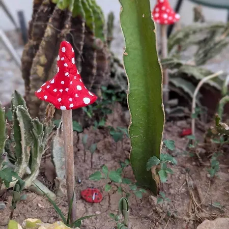 Arting Sea-a Dog Friendly House Vakantiehuis Klorakas