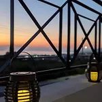 Arting Sea-a Dog Friendly House