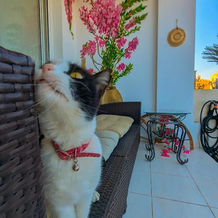 Casa de Férias Arting Sea-a Dog Friendly House Klorakas