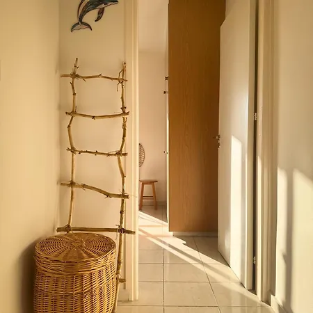 Arting Sea-a Dog Friendly House *