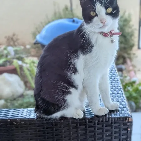 度假居 Arting Sea-a Dog Friendly House *