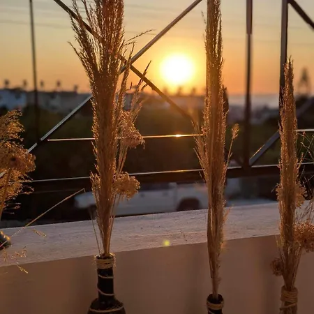 Arting Sea-a Dog Friendly House *