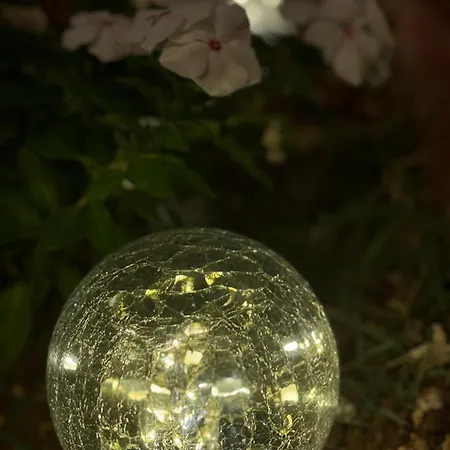 Arting Sea-a Dog Friendly House * Klorakas