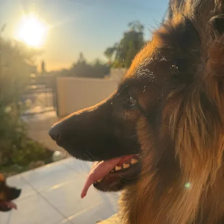Arting Sea-a Dog Friendly House * Хлоракас
