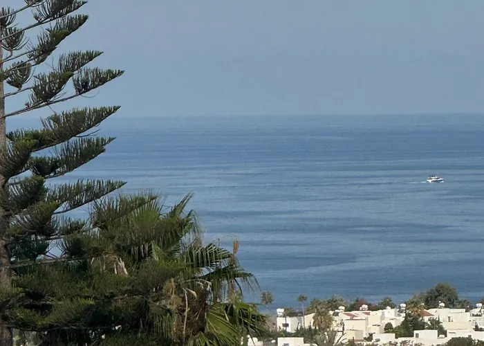 Arting Sea-a Dog Friendly House *