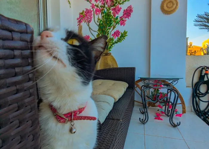 Feriehus Arting Sea-a Dog Friendly House Klorakas