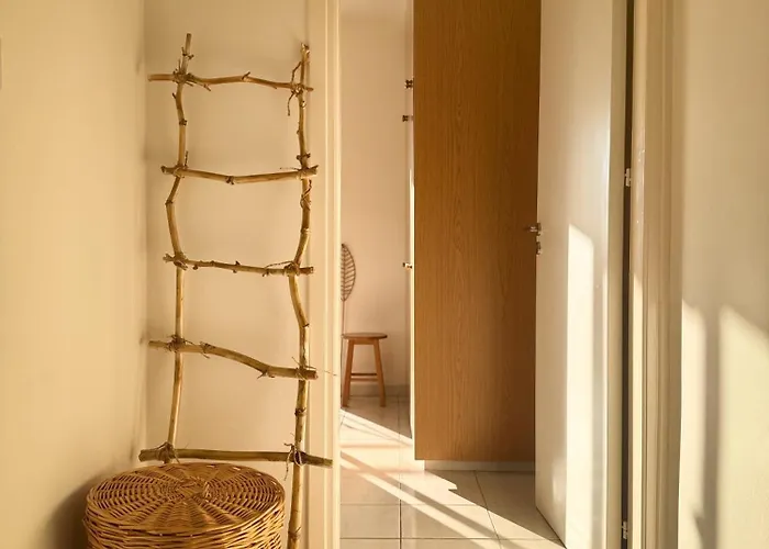 Arting Sea-a Dog Friendly House *