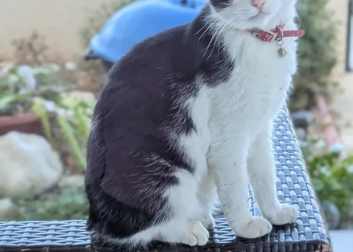 Feriehus Arting Sea-a Dog Friendly House *