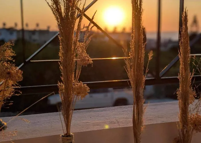 Arting Sea-a Dog Friendly House *