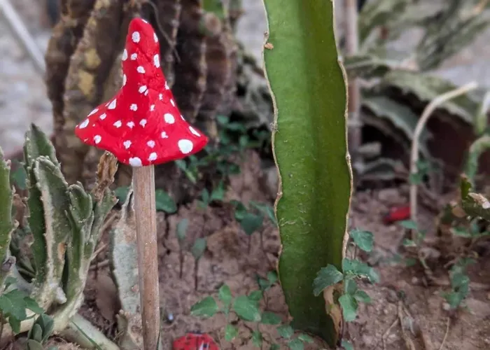 Arting Sea-a Dog Friendly House Feriehus Klorakas